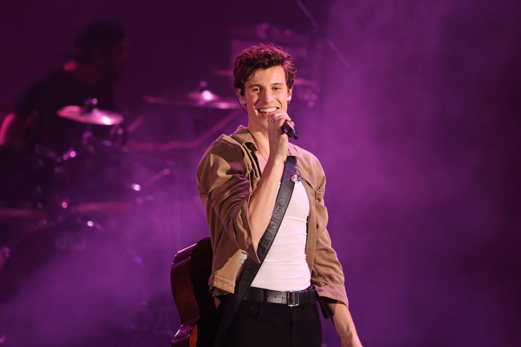 Shawn Mendes Makes True Of Promise To Chill After Cancelling Tour For