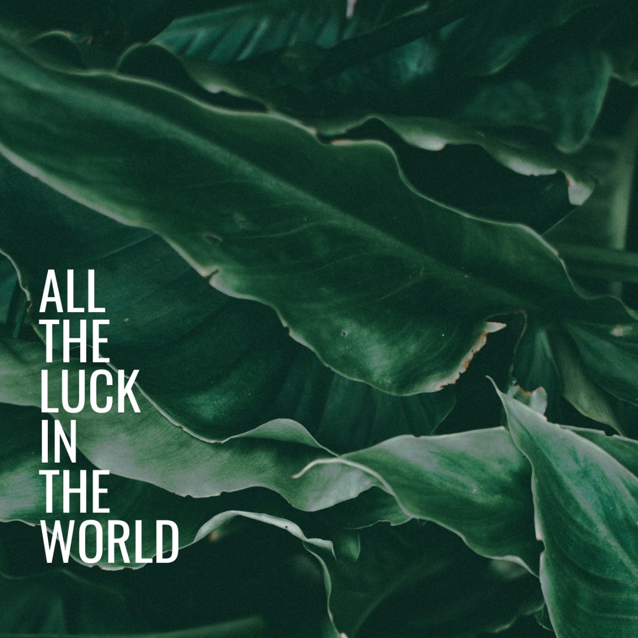 All The Luck In The World (feat. Skrillex) by Colin Stauber