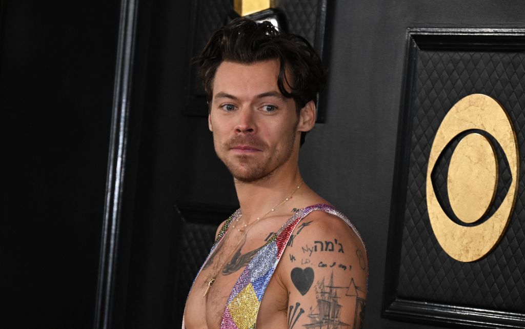 Harry Styles New GF Identity A Secret On Purpose After 'Circus Relationship' With Olivia Wilde
