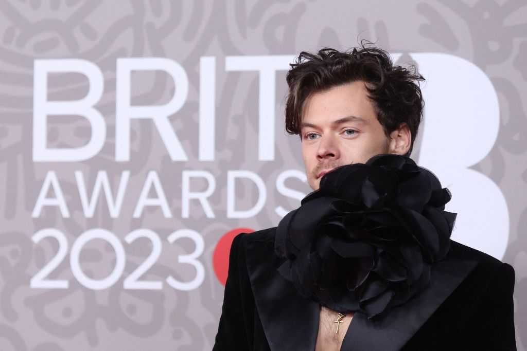 Harry Styles Ultimate Secret: 'Satellite' Singer Uses This Name To Check In To Hotels