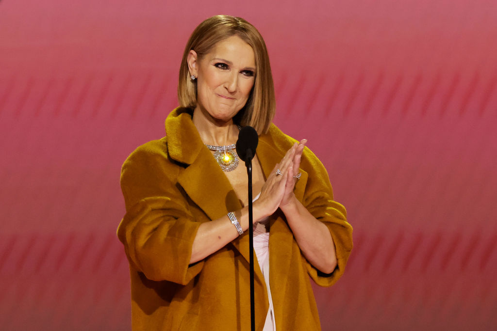 Celine Dion Received Standing Ovation at the Grammys