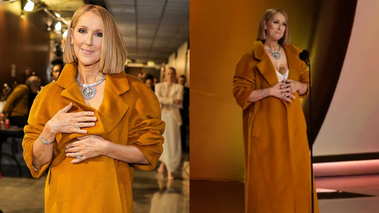 Celine Dion's Stunning Coat & Statement Necklace at Grammys 2024 The