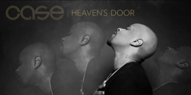 Case Heaven's Door Cover Art