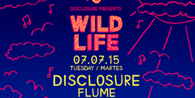 Disclosure, Flume, Bicep SG Lewis Ibiza Wild Life