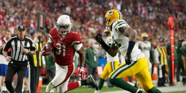 Running back David Johnson #31 of the Arizona Cardinals rushes the football against the Green Bay Packers during the NFL game at the University of Phoenix Stadium on December 27, 2015 in Glendale, Arizona. The Cardinals defeated the Packers 38-8. 