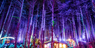 Electric Forest