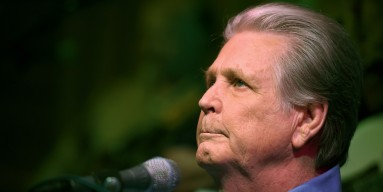Brian Wilson performs at Roadside Attraction's 'Love and Mercy' DVD release