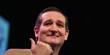 U.S. Sen. Ted Cruz (R-TX) speaks to guests at the Iowa Freedom Summit on January 24, 2015 in Des Moines, Iowa. The summit is hosting a group of potential 2016 Republican presidential candidates to discuss core conservative principles ahead of the January 