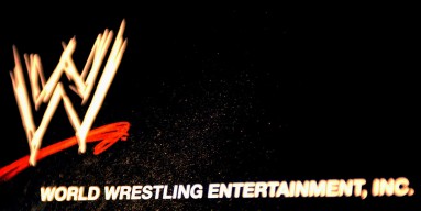 The WWE logo