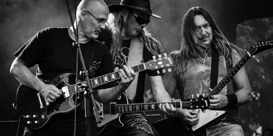 Group of Men Playing Guitar in Concert in Grayscale Photo