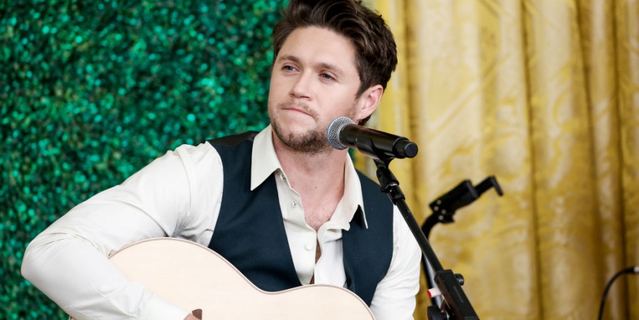 Niall Horan Unveils New Single 'Meltdown': Is It One Direction-Approved?