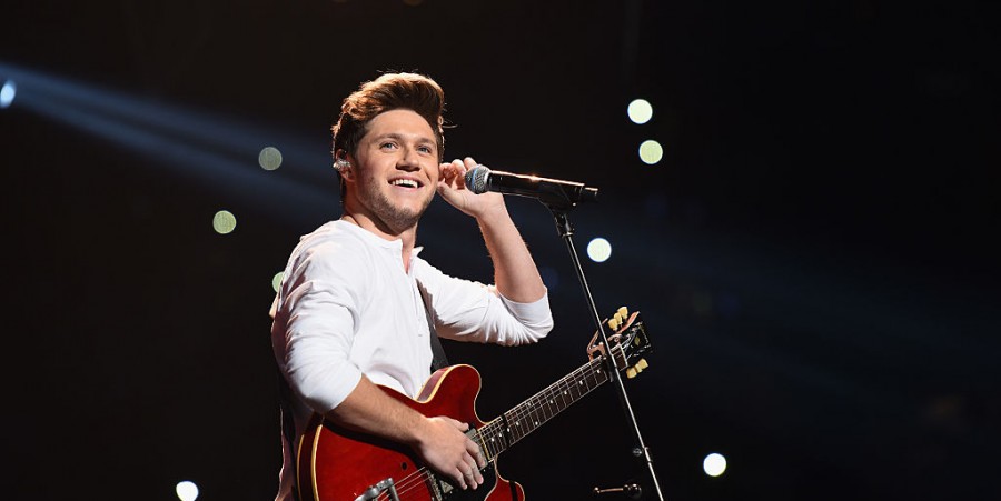 Niall Horan Finally Addresses One Direction Reunion Rumors Following Song Leak