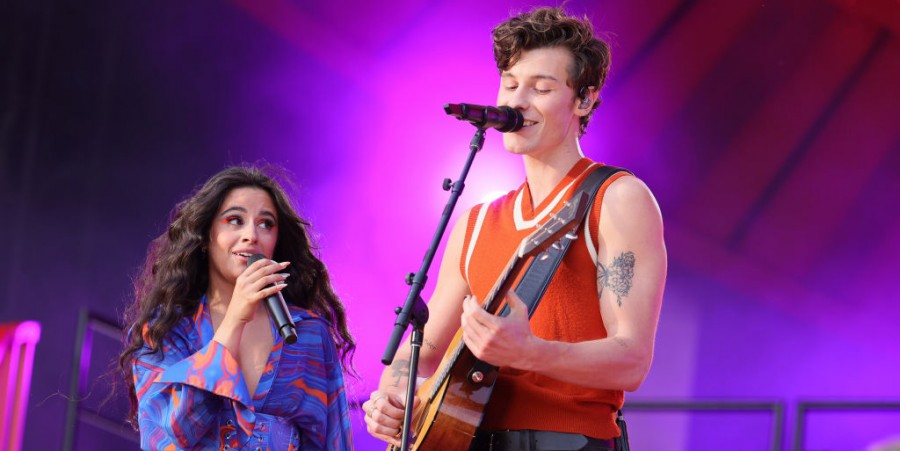Shawn Mendes, Camila Cabello Breakup Blindsided 'Stitches' Singer? 'Frustrated, Confused About a Lot of Things'