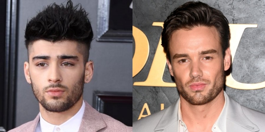 Zayn Malik, Liam Payne's Rare Interaction Online Sends One Direction Fans Into a Frenzy
