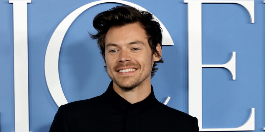 Harry Styles Fan Binges 5 'Love on Tour' Shows Before Going Deaf: 'He Brought So Much Into My Life'