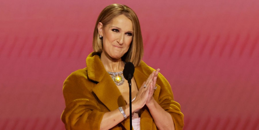 Celine Dion Received Standing Ovation at the Grammys