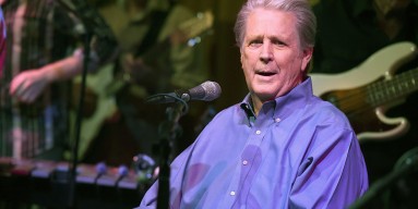 Beach Boys' Brian Wilson Diagnosed With a Major Neurocognitive Disorder Weeks After His Wife's Death
