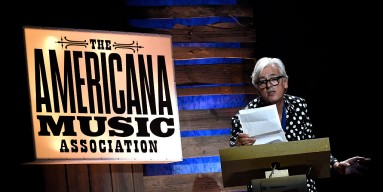 Robyn Hitchcock presents onstage at the 14th annual Americana Music Association Honors and Awards Show at the Ryman Auditorium on September 16, 2015 in Nashville, Tennessee.