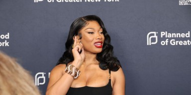 Megan Thee Stallion attends the 2024 Planned Parenthood Of Greater New York Gala 