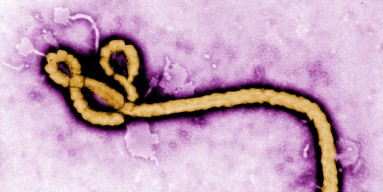Ebola Virus - Getty Images